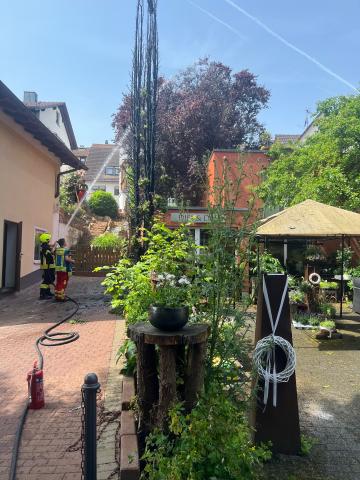 image5