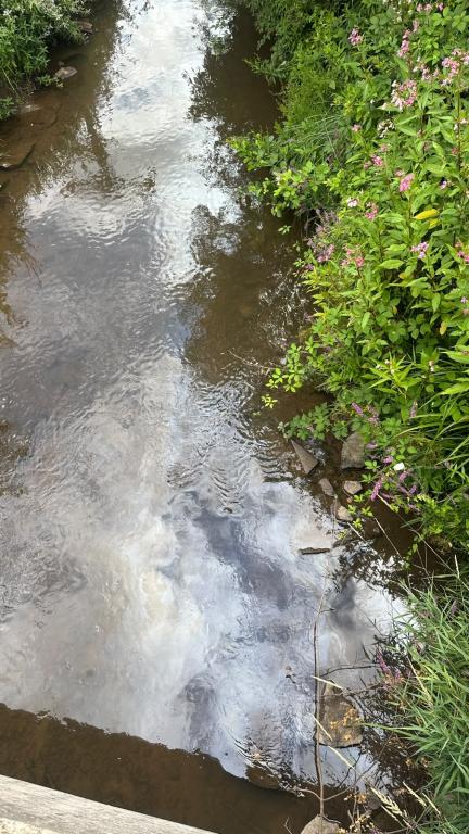 PHOTO 2026 07 20 17 58 22