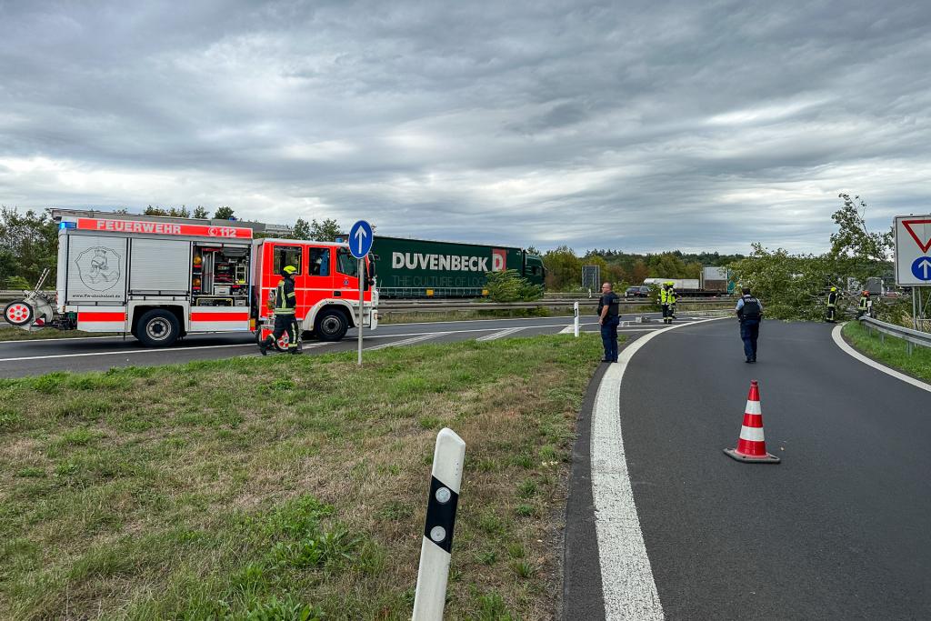 FF Stockstadt Einsatz 2026 293 Bild 01