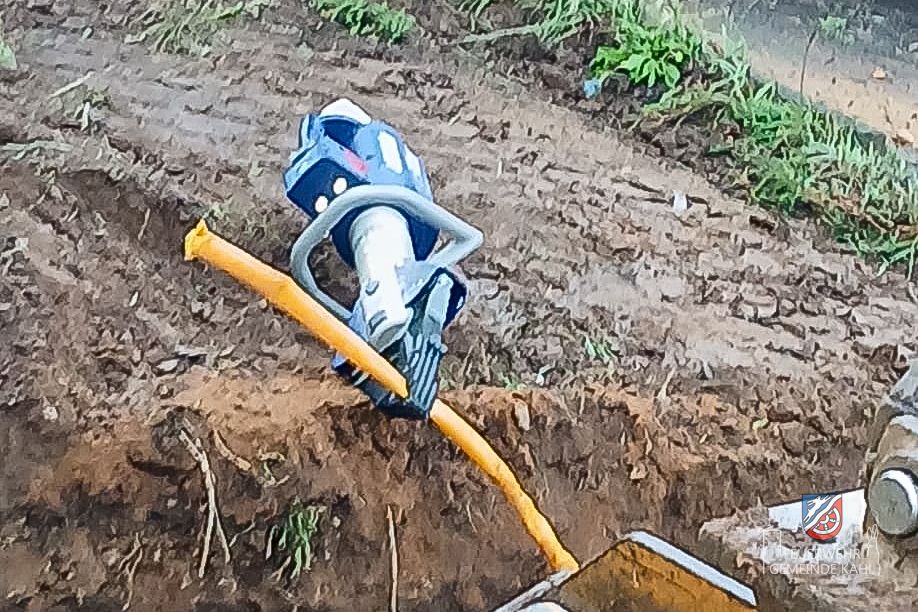 39bf5d54 47e1 4e7a 8c64 ba8346e600f2