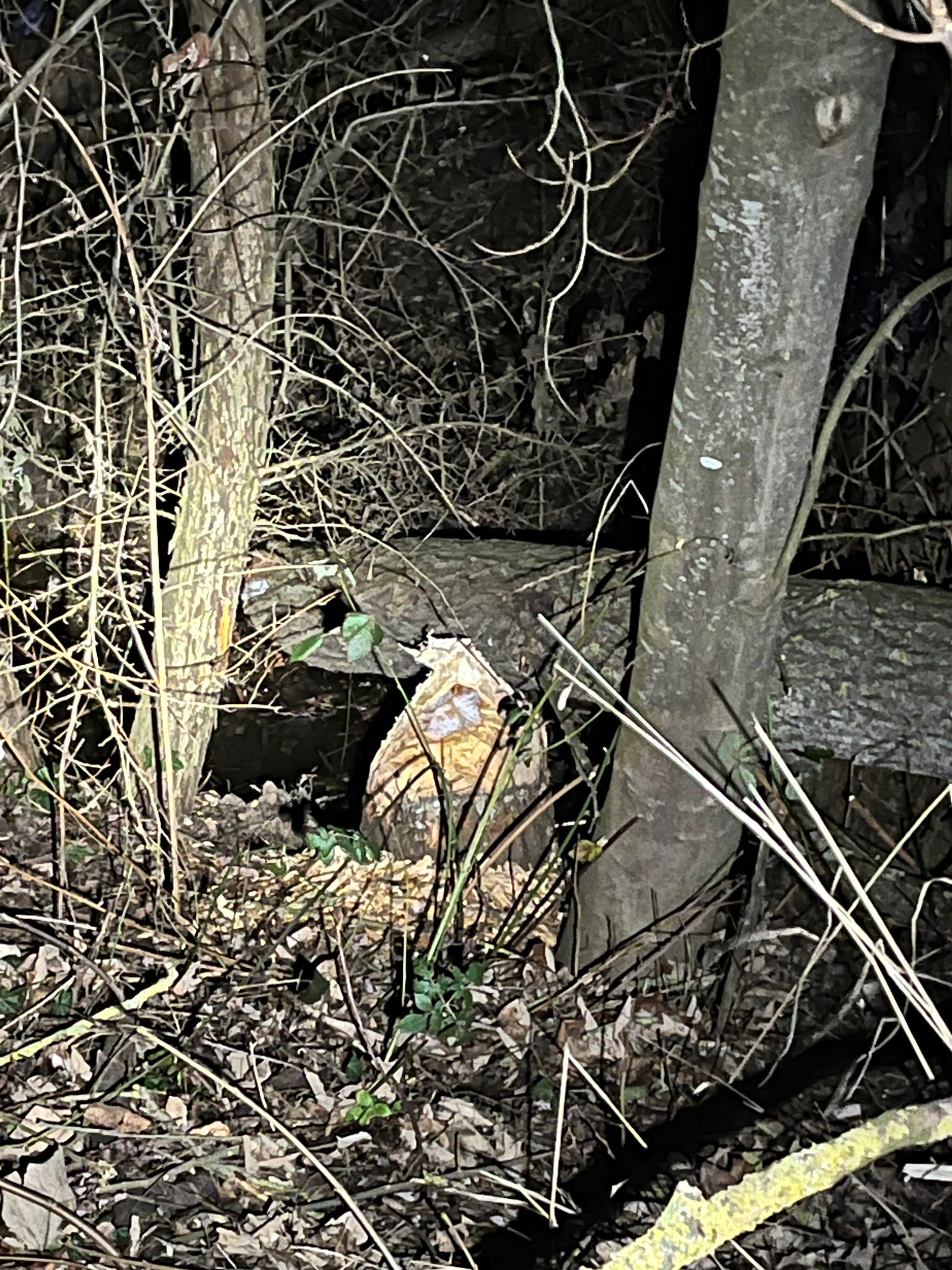 dc96ce1a 4ccb 4ca7 88df 4a24b5a1aa9f