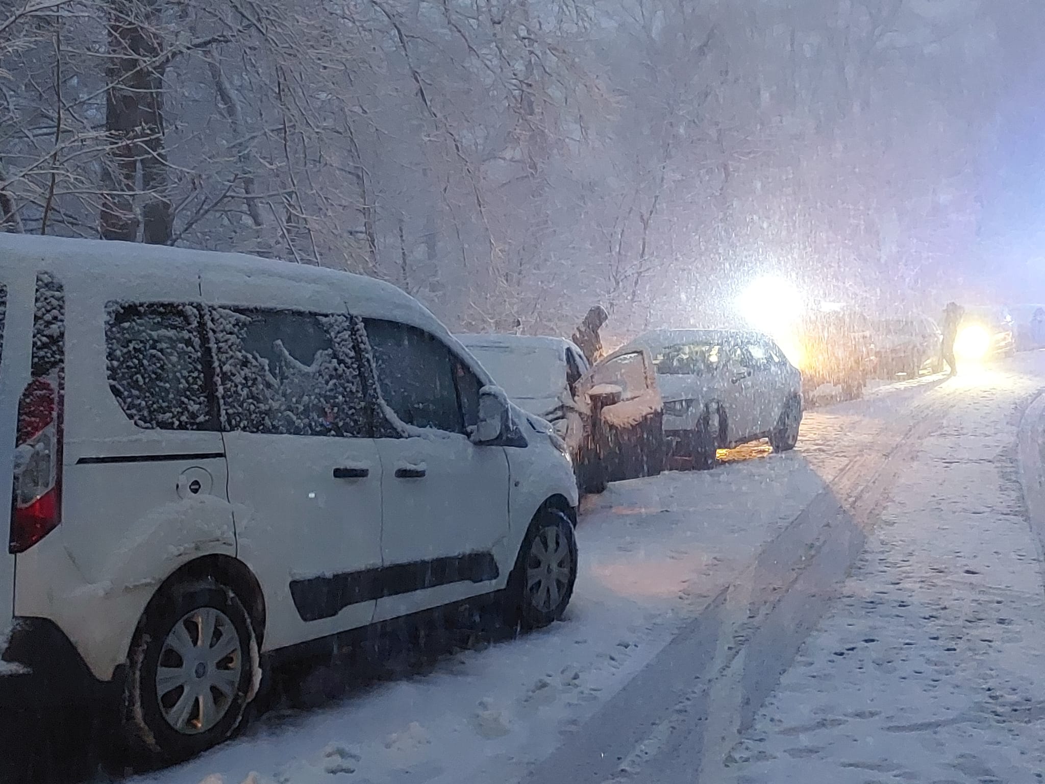 10823487 5736 497d b37f 745e3d1309c8