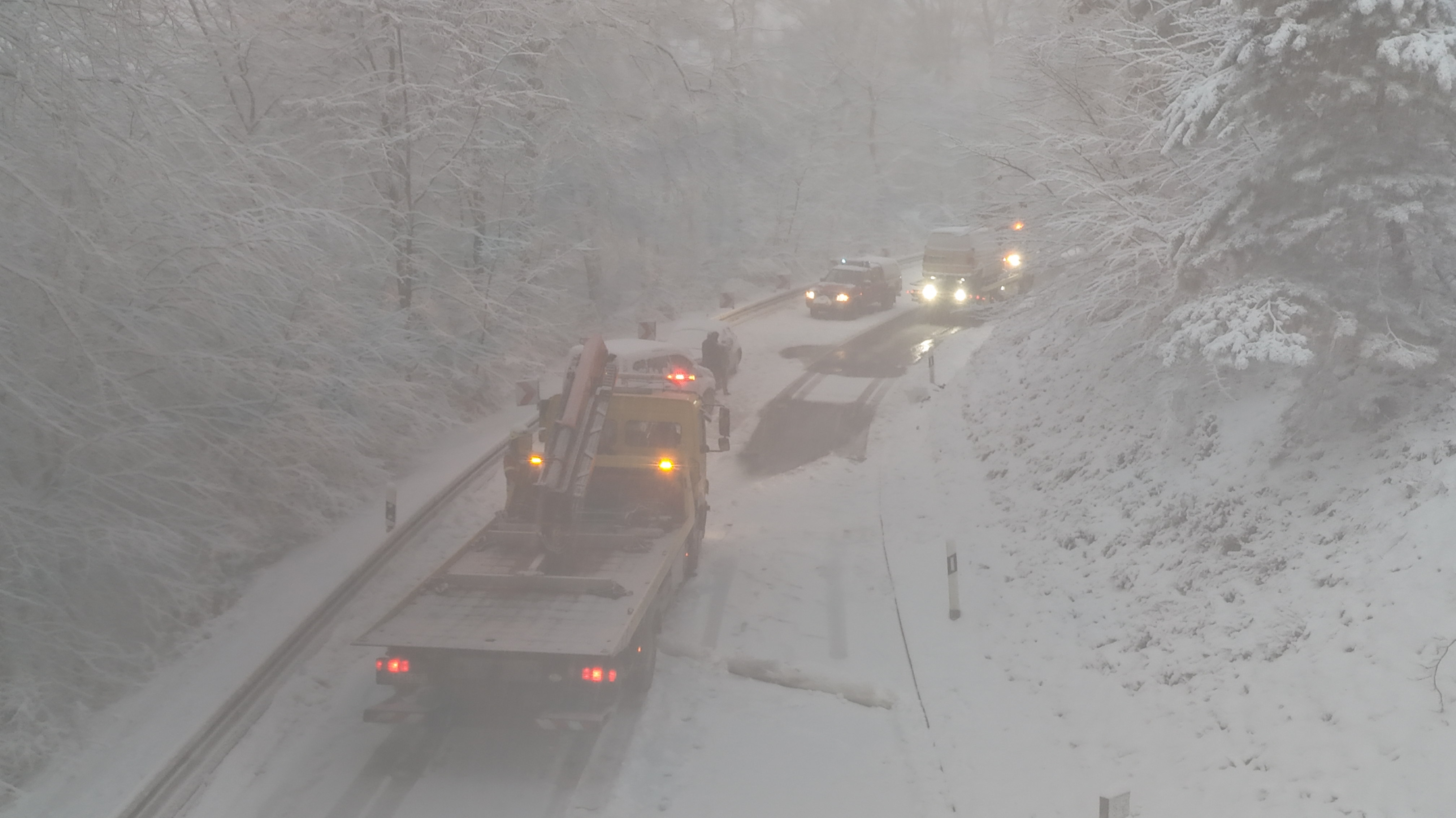 dji fly 20260219 075728 0019 1771485727920 photo