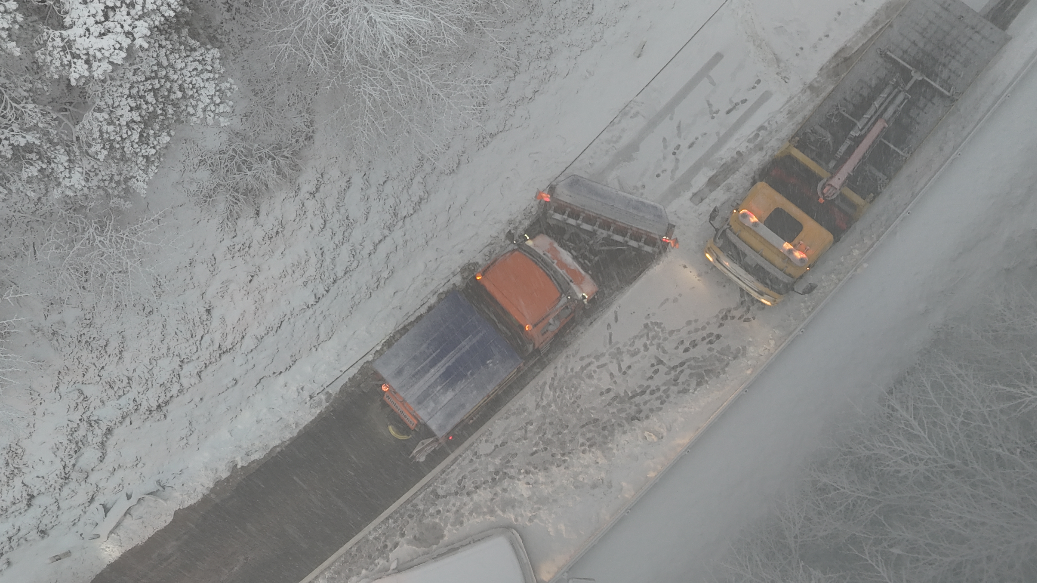 dji fly 20260219 075814 0021 1771485727582 photo