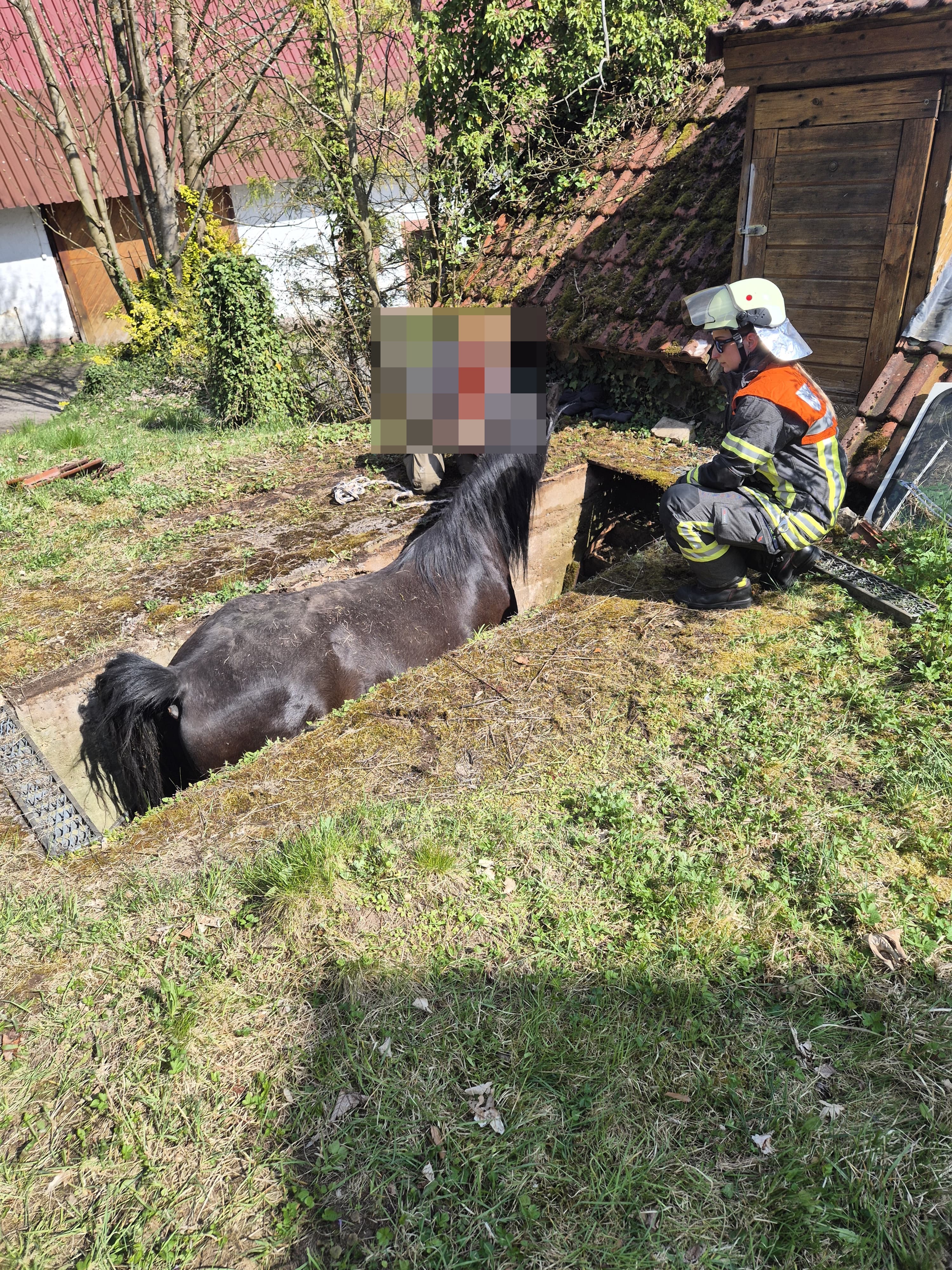 9f4d98e2 992e 4dbe 8d5f 6edf55b496a7 anonymized