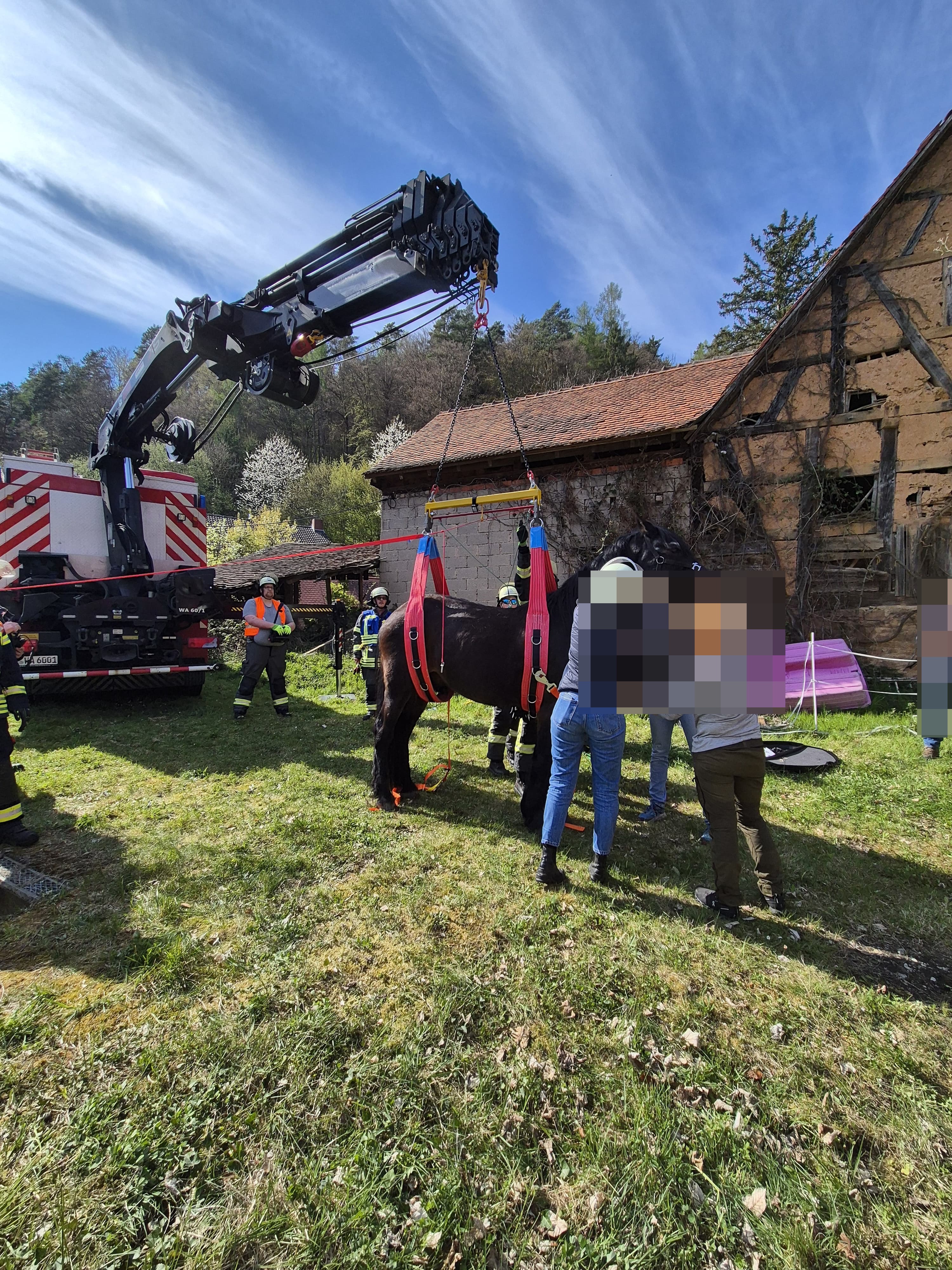 af56ed6a 2193 4336 bd92 a20cc3fcc51b anonymized