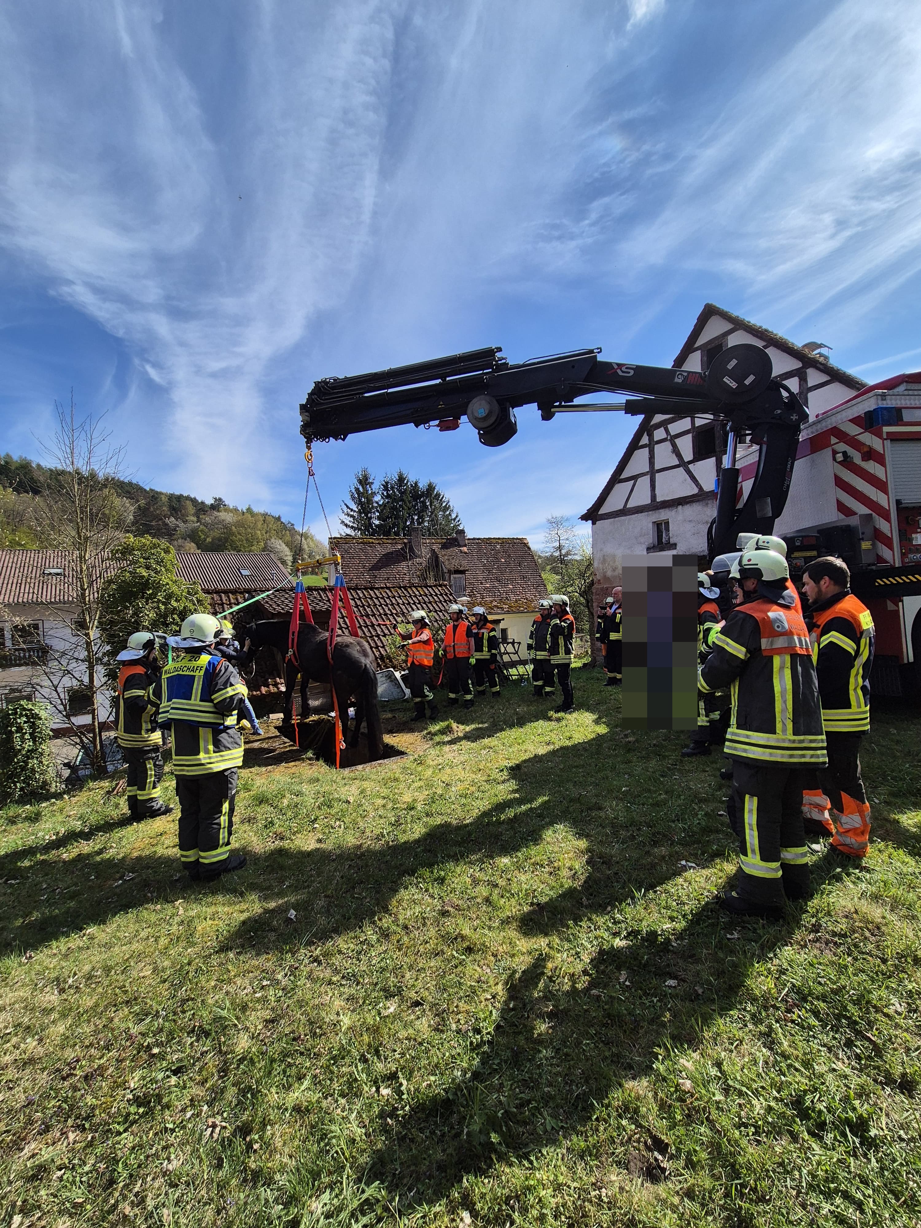 c448478b 91b0 47bf a462 1e8f1465f772 anonymized