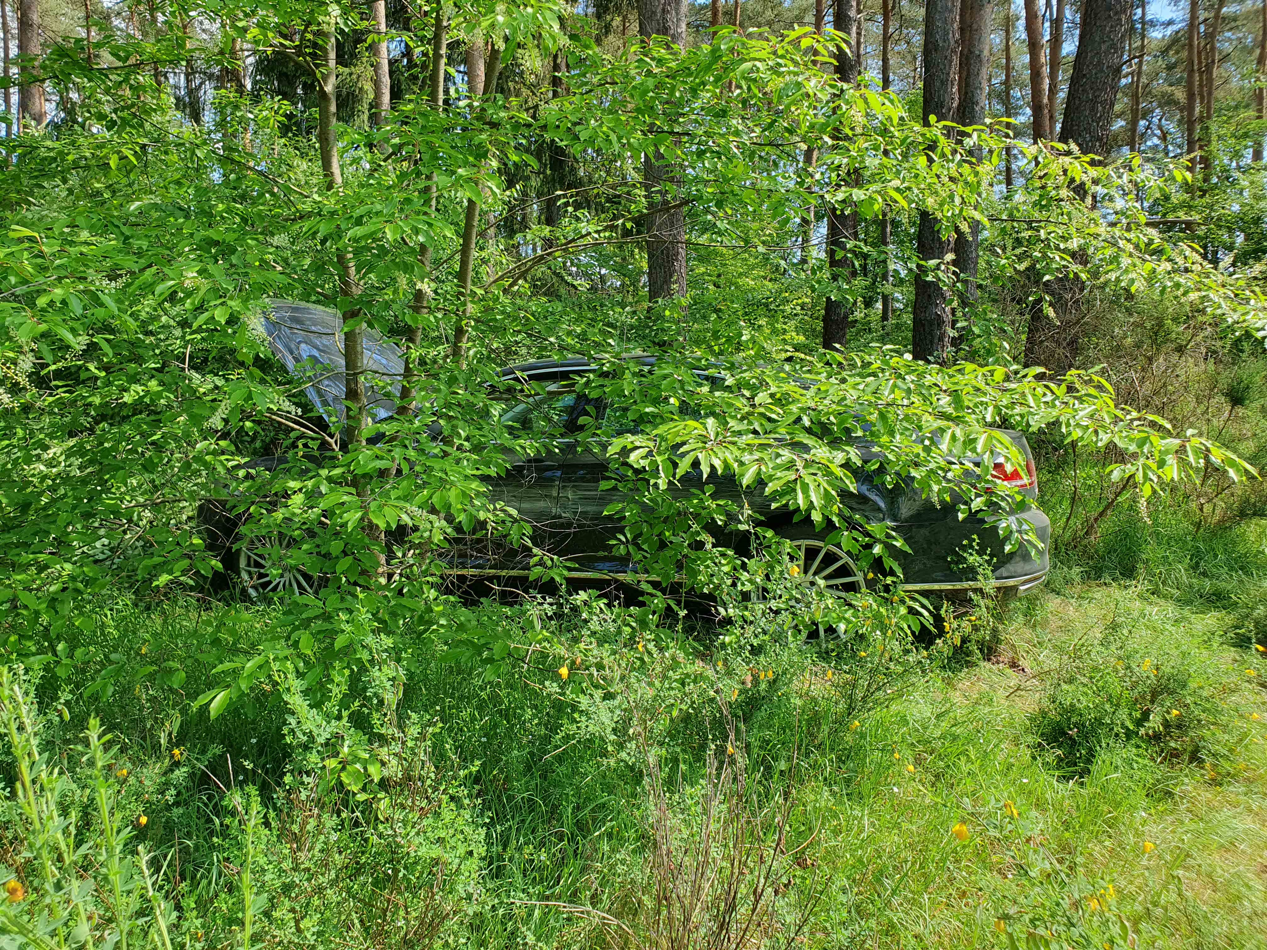 240513 VU B 469 Großostheim 2