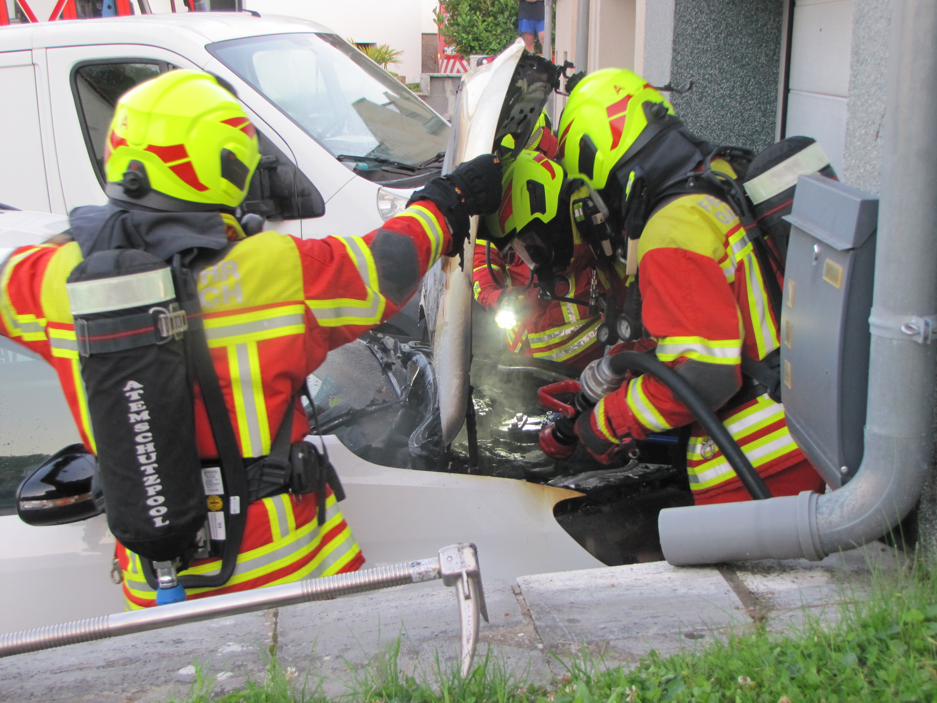 IMG 3690 web