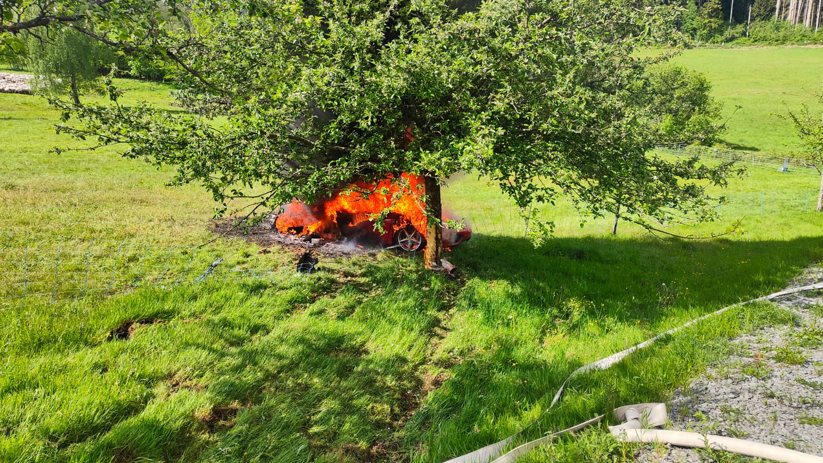 79253d92 796e 4c78 9e92 2aebcae17a3b