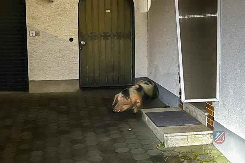 18 05 Tierrettung Kahl 5