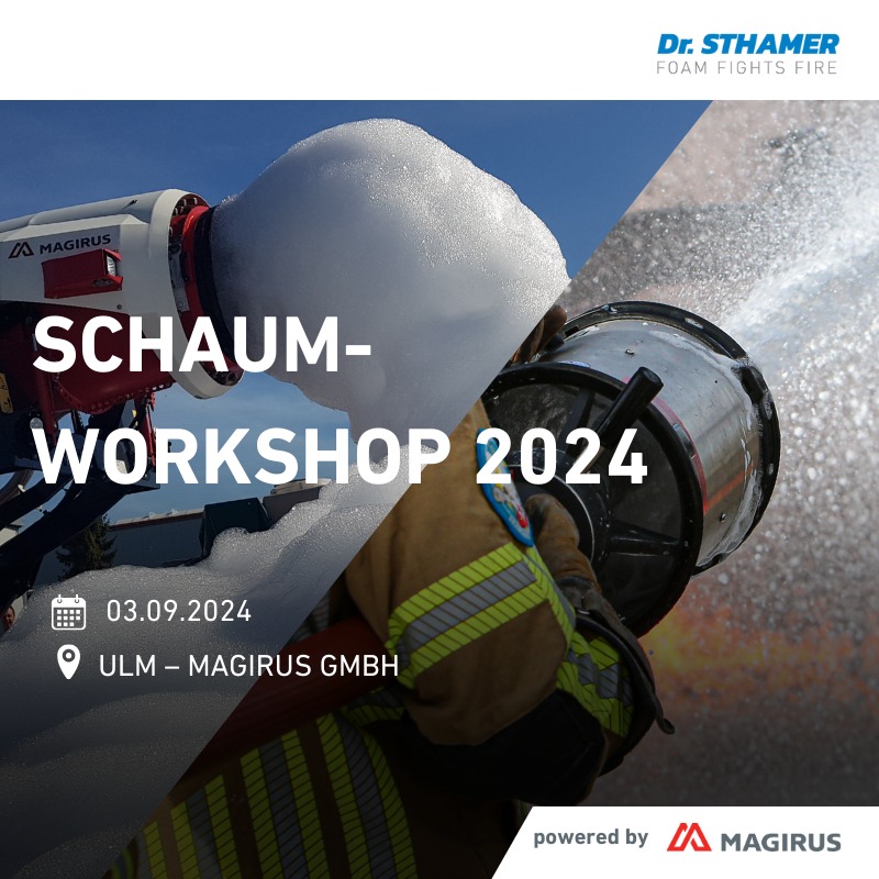 240619 Schaumseminar