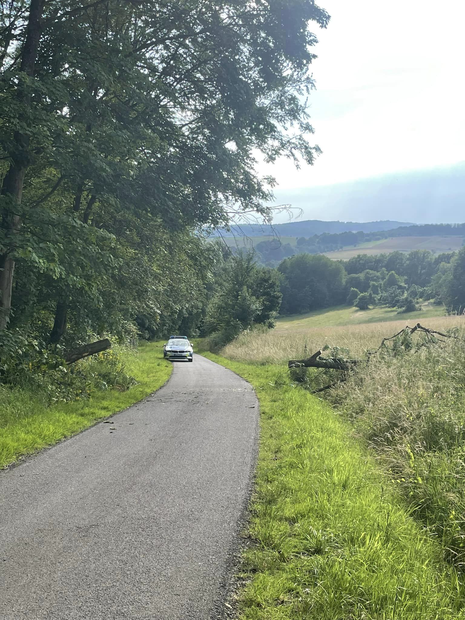 20240623 Umgestürzter Baum Sailauf 3
