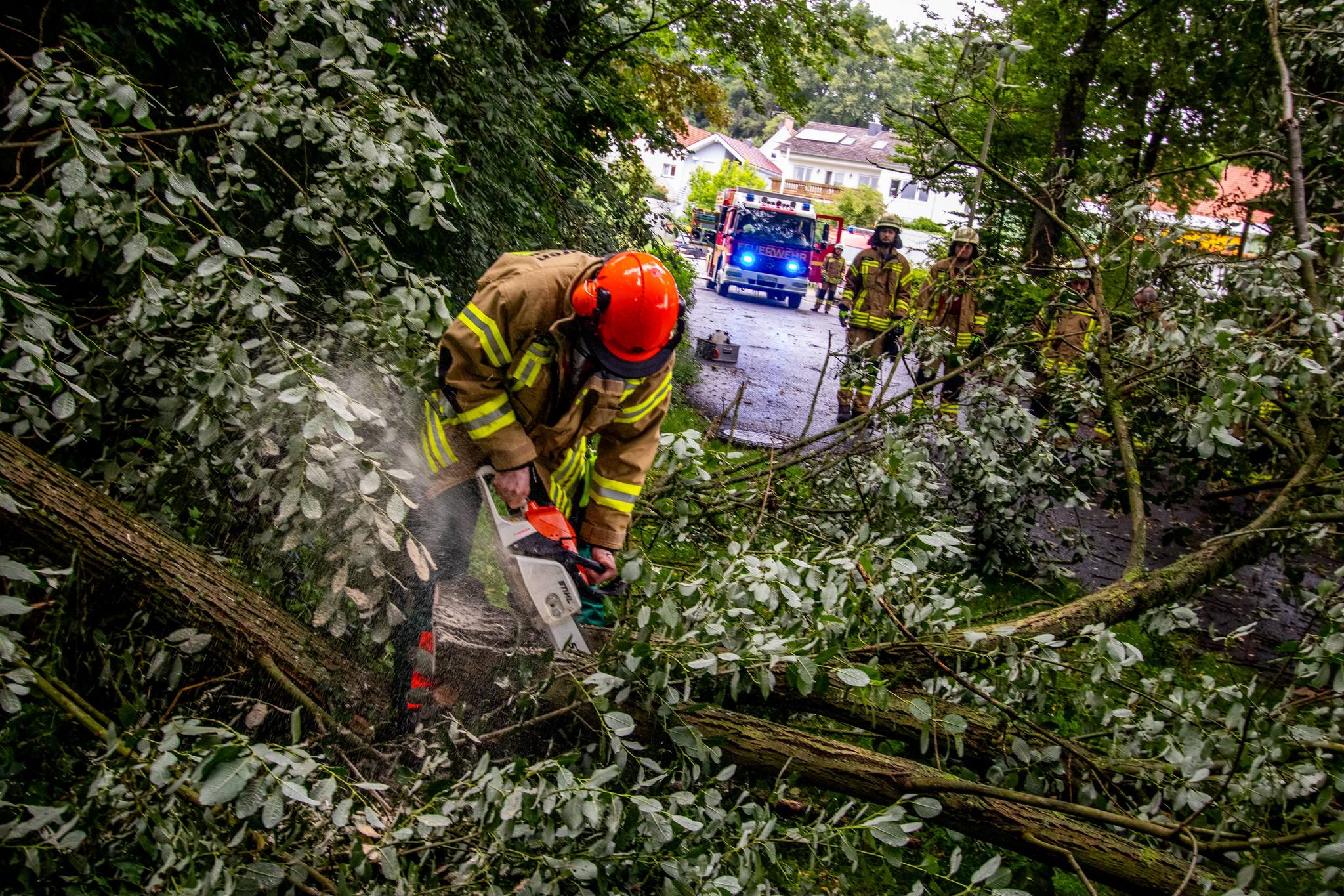 20240630 Baum auf Fahrbahn Alzenau Albstadt 1