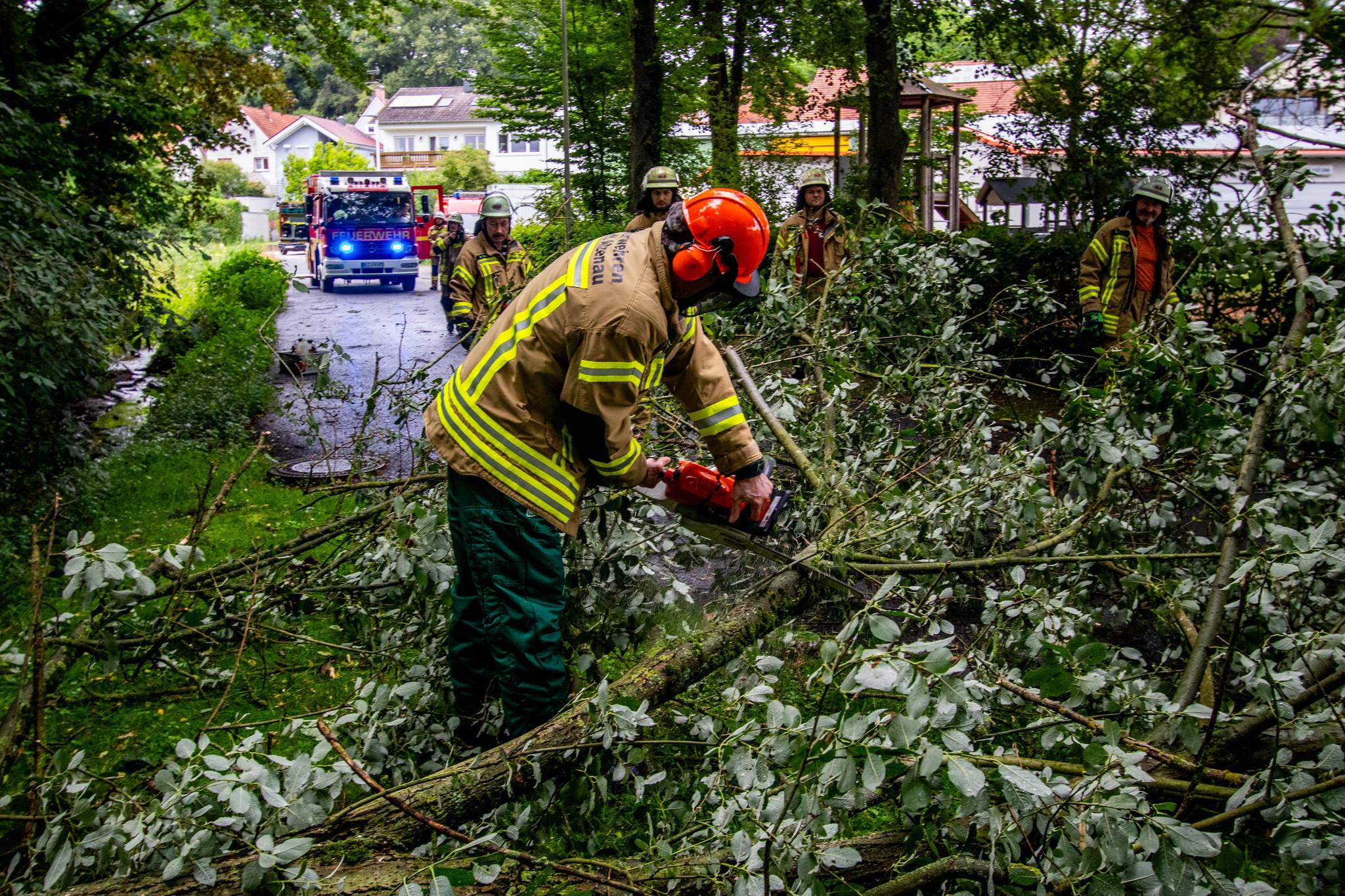 20240630 Baum auf Fahrbahn Alzenau Albstadt 3