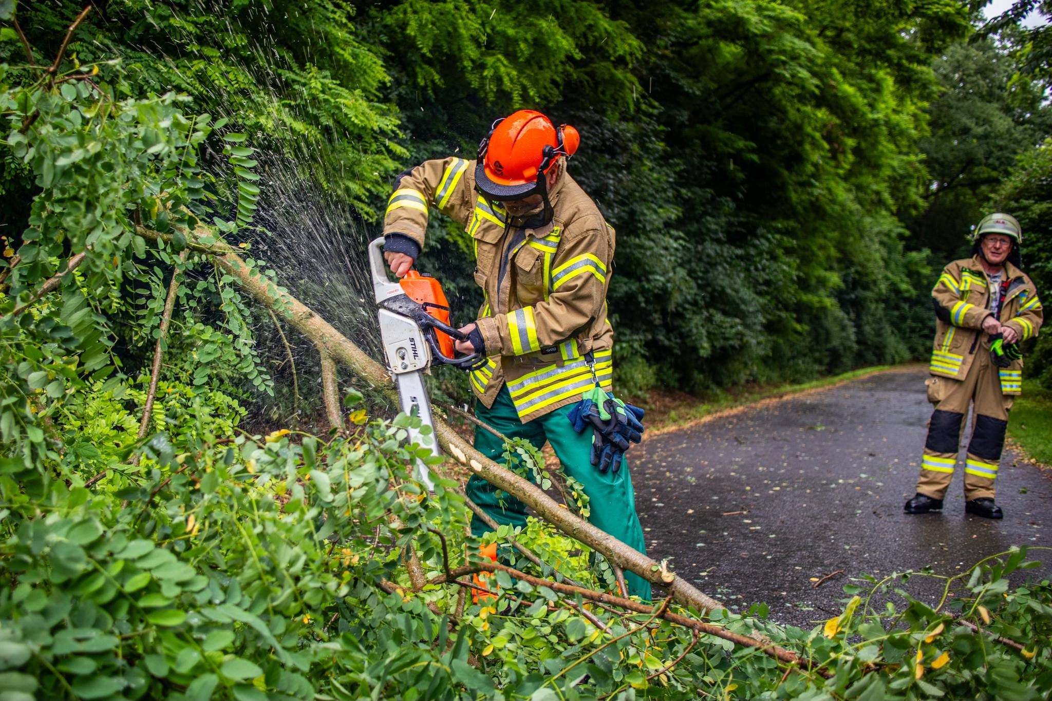 20240630 Baum auf Fahrbahn Alzenau Albstadt 6