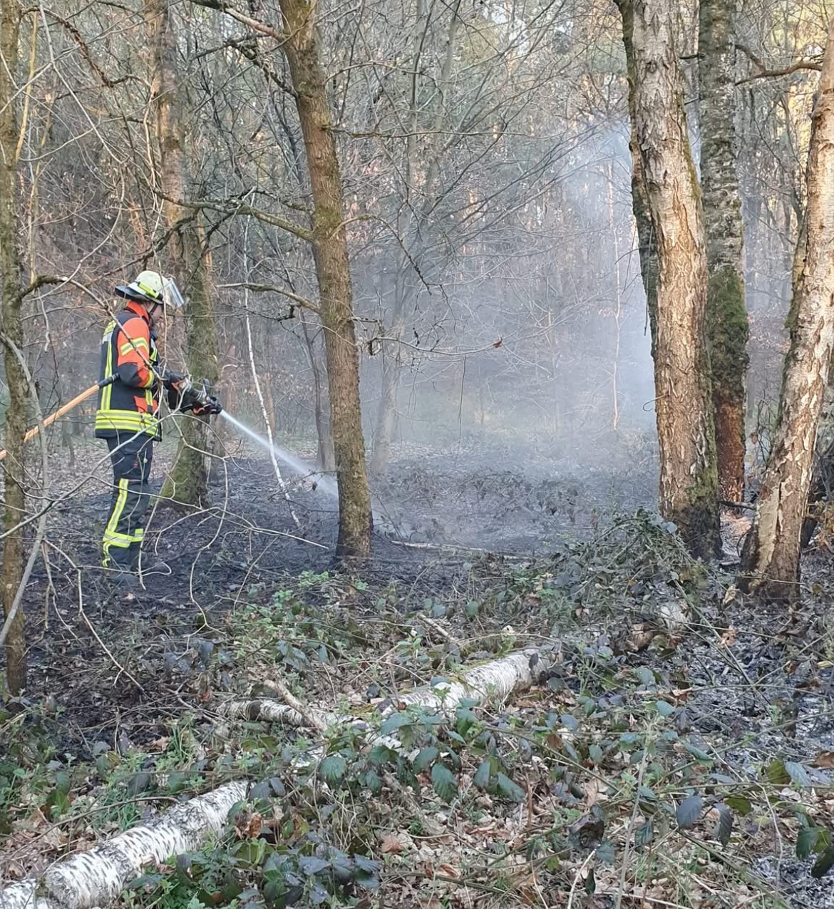 20250403 Brand Großostheim Ringheim 1
