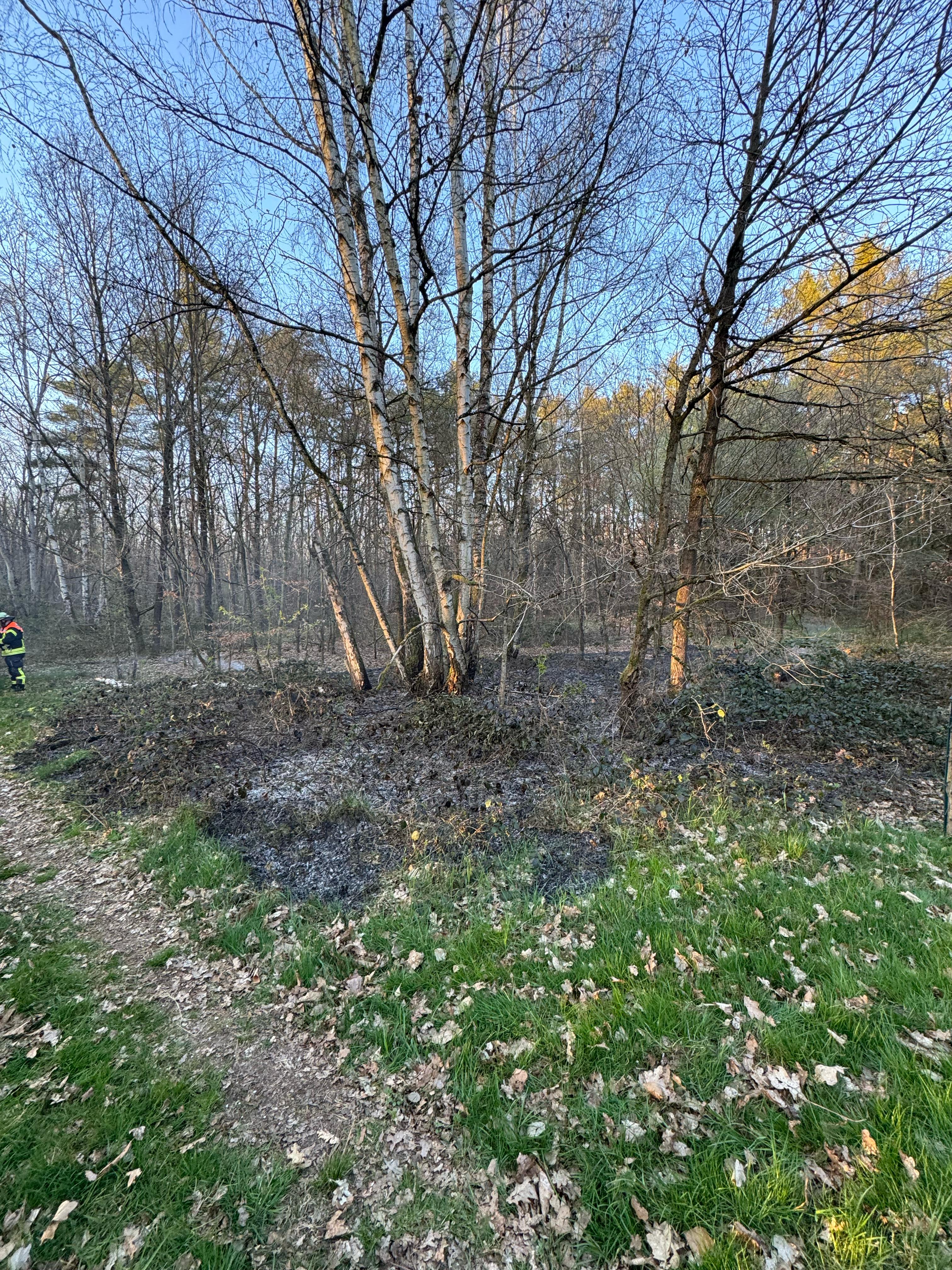 20250403 Brand Großostheim Ringheim 3