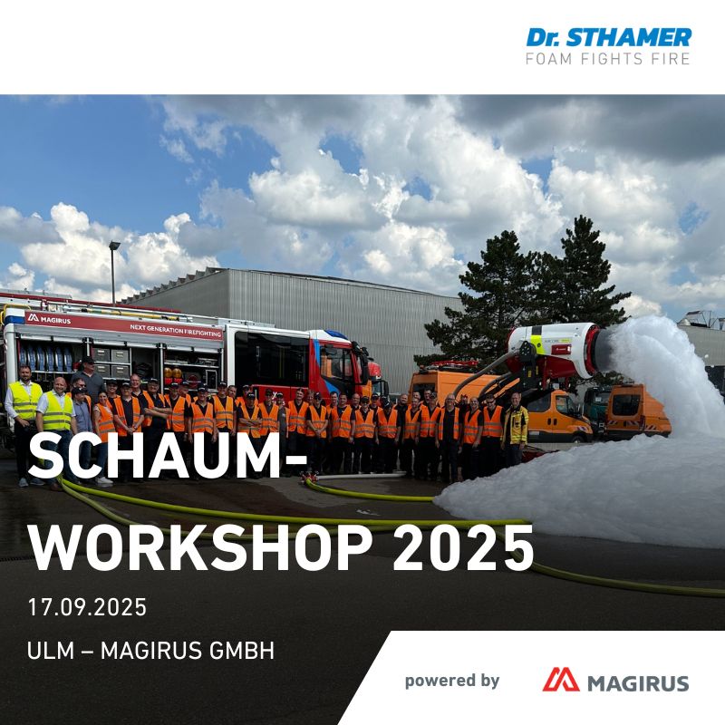 Schaum Workshop 2025