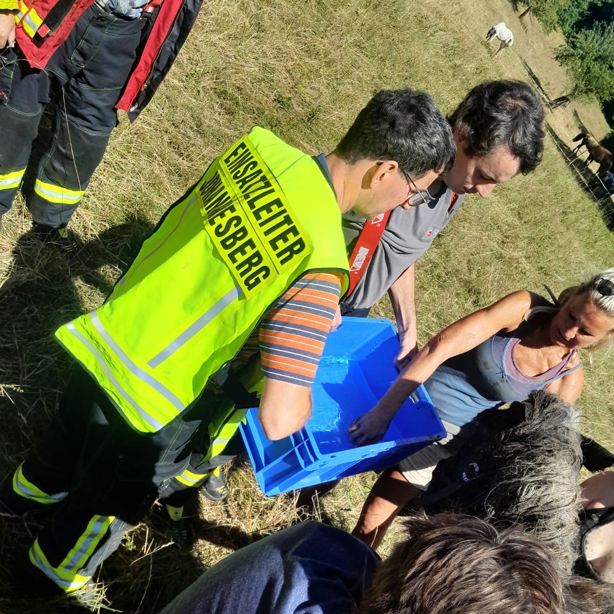 20250822 Tierrettung Johannesberg 2