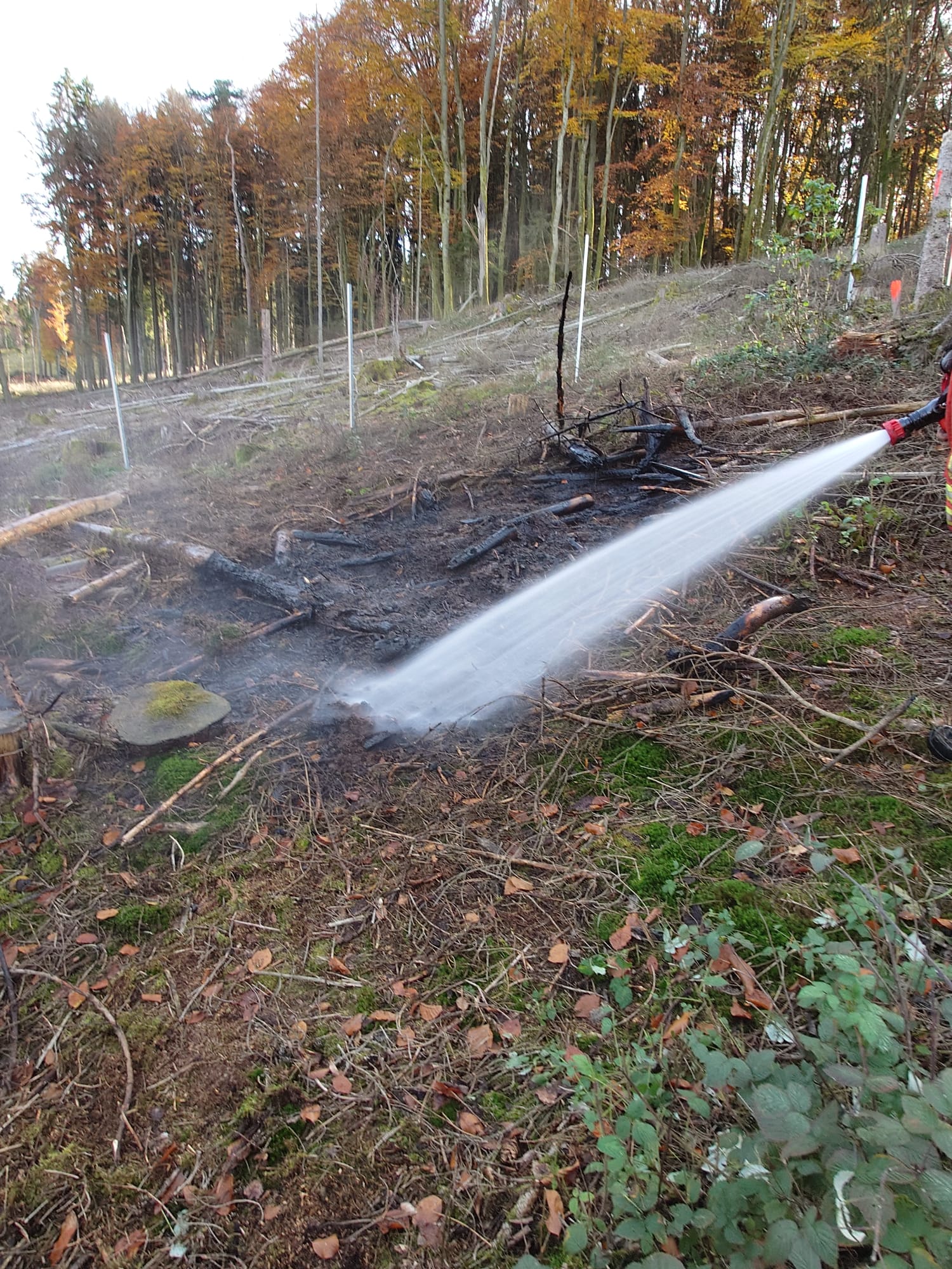 20251104 Brand Mespelbrunn 1