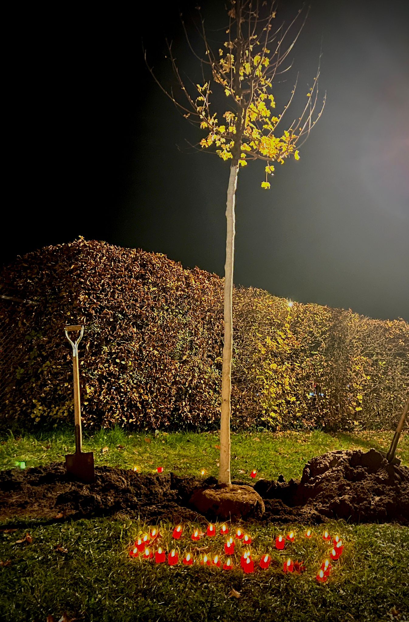 20251113 FF Großostheim 5. Todestag Dr Thomas Domanig mit Pflanzung Gedenkbaum 14