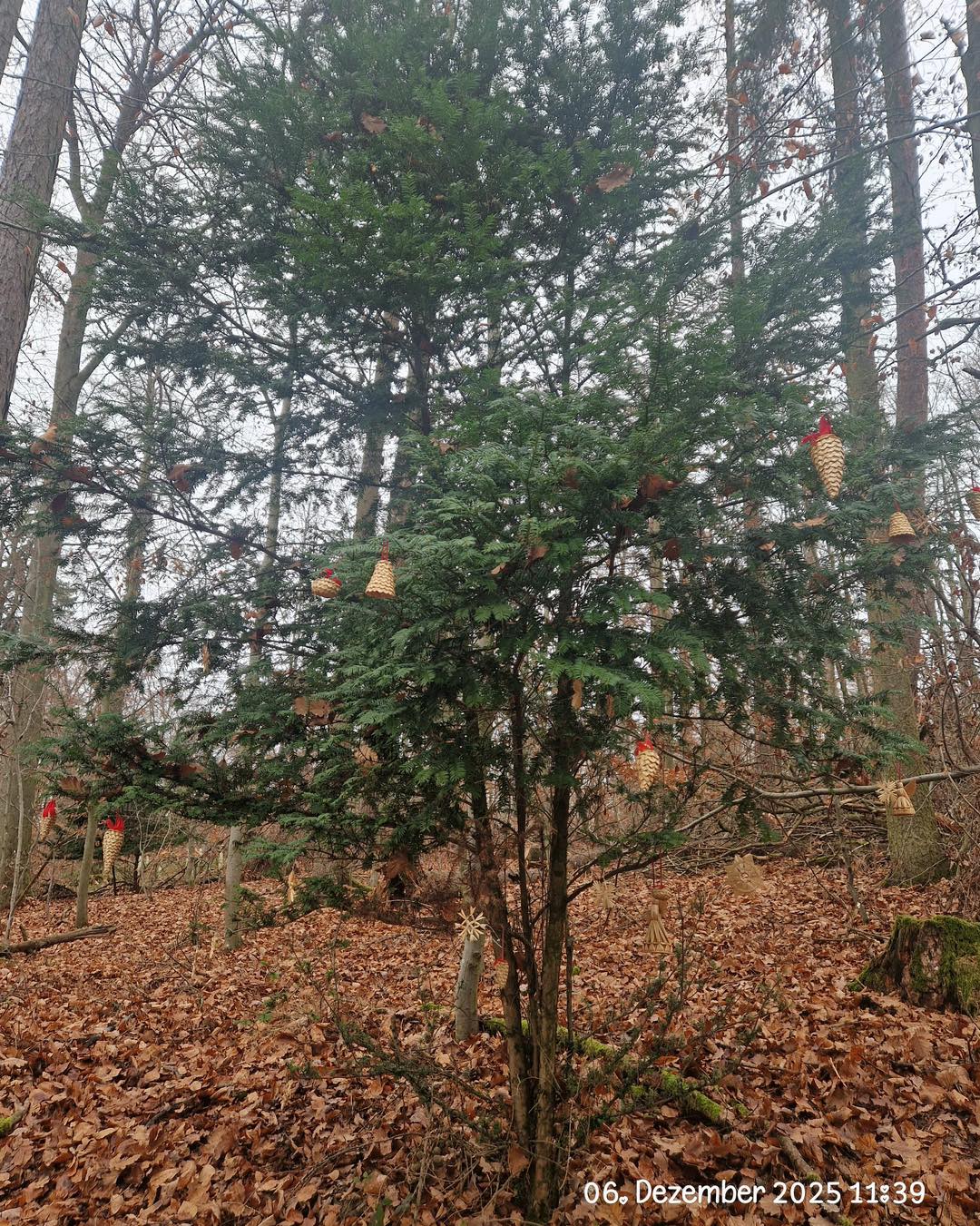 20251206 KiFeu Glattbach Suche nach dem Nikolaus 4