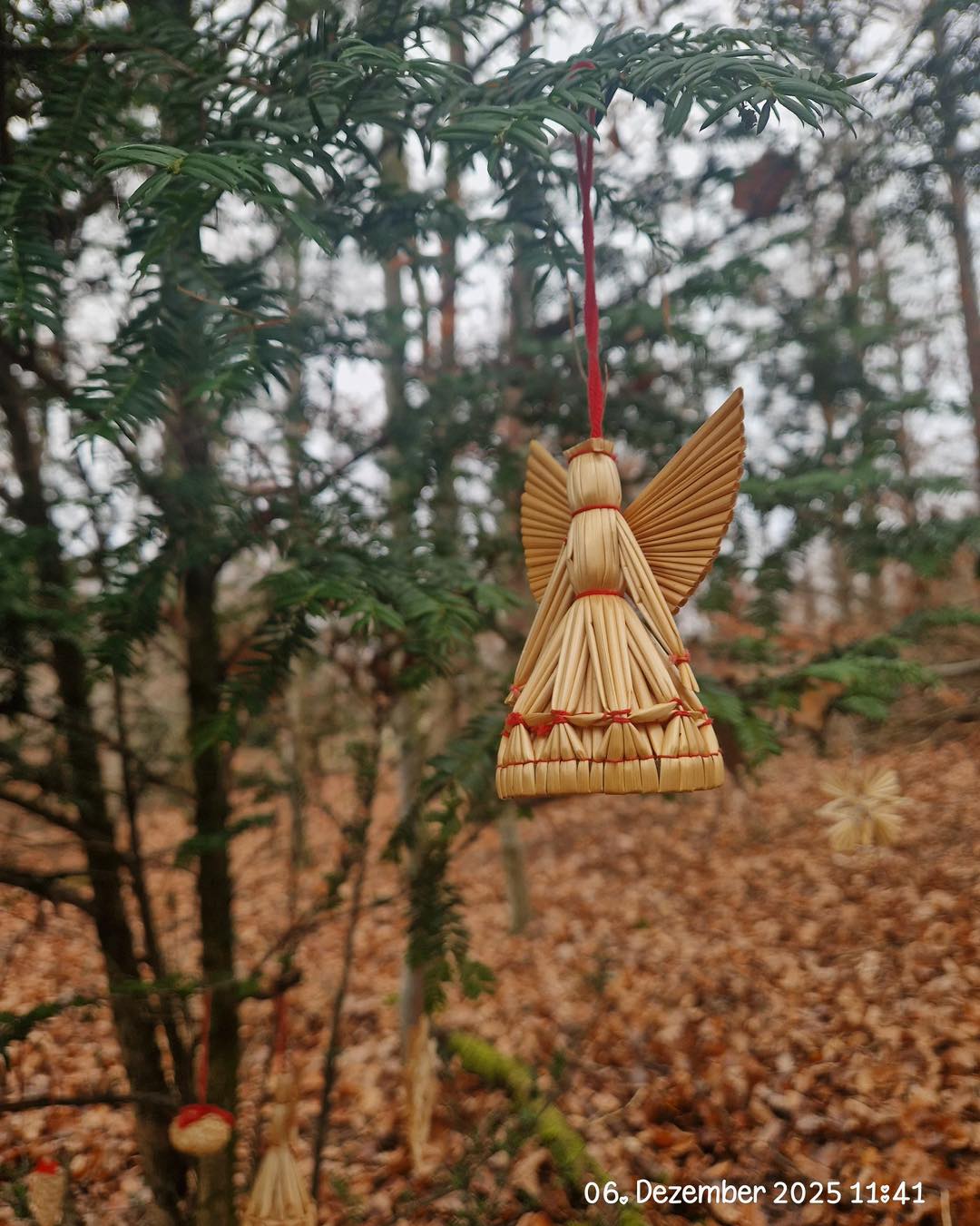 20251206 KiFeu Glattbach Suche nach dem Nikolaus 6