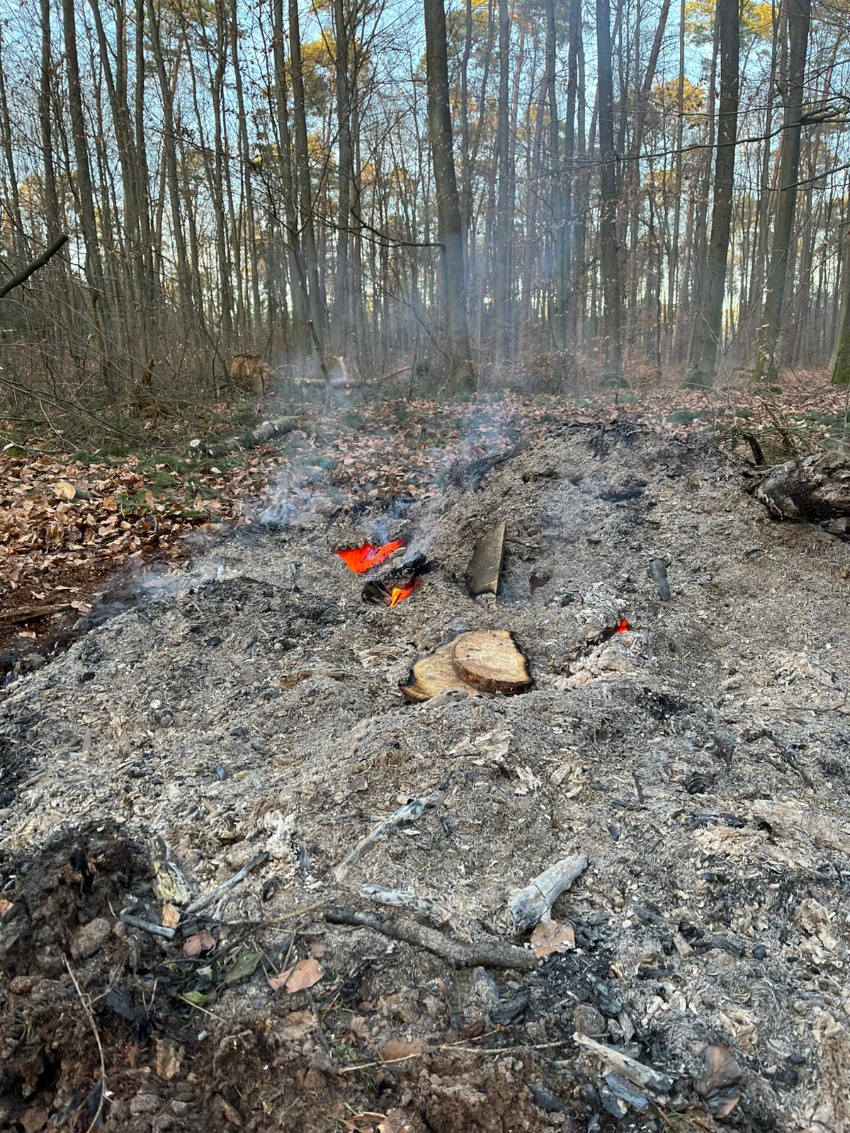 20251227 Rauchentwicklung im Wald Großostheim 2