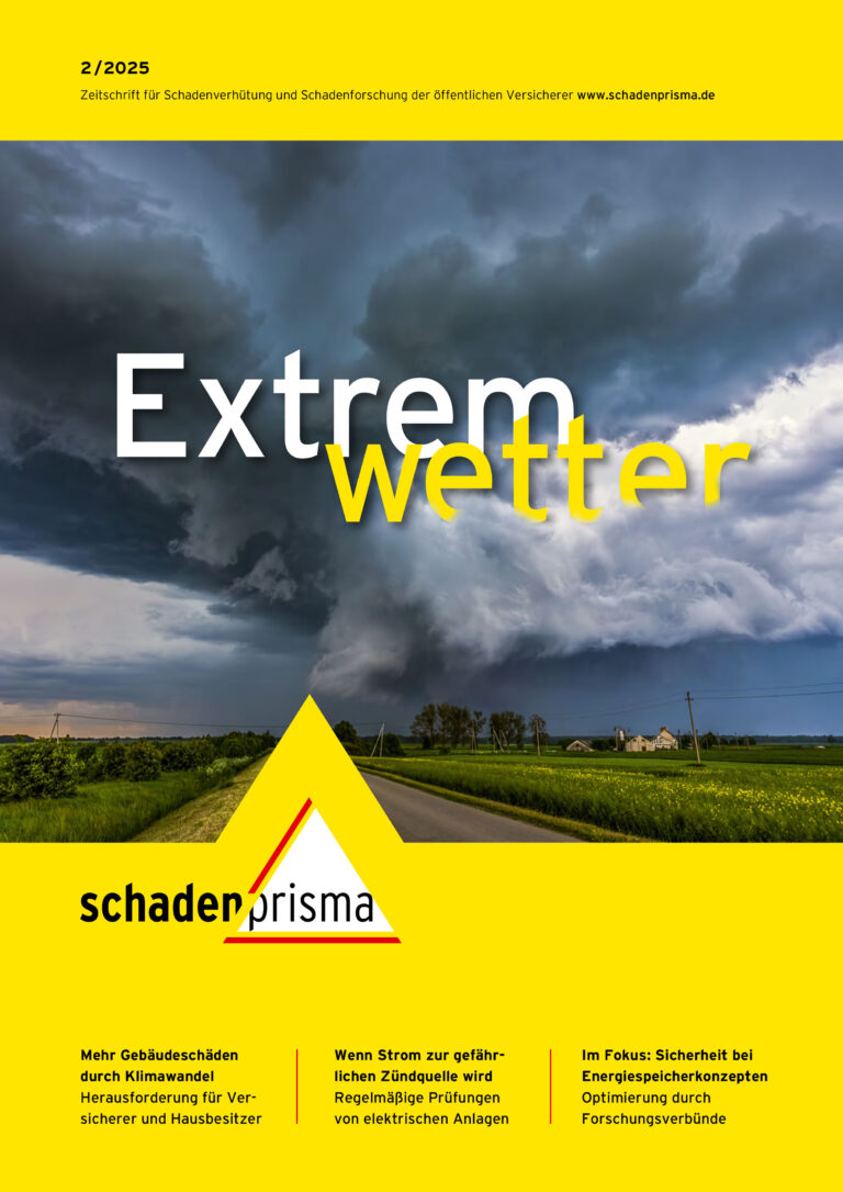 Schadenprisma 02 2025