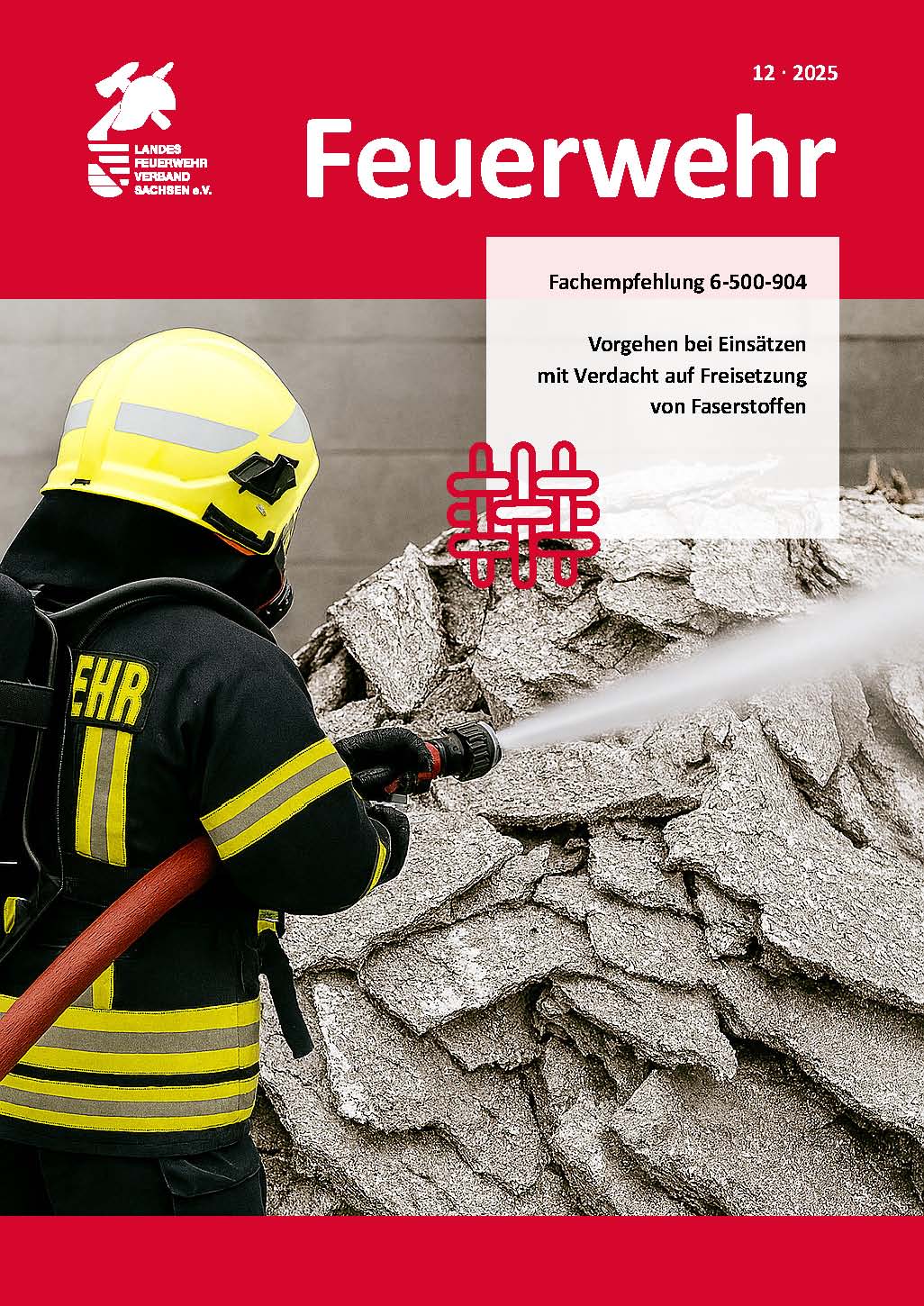 Seiten aus Fachempfehlung Faserstoffe 2025 LFV Sachsen