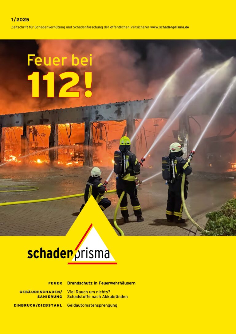 Titel Schadenprisma 01 2025