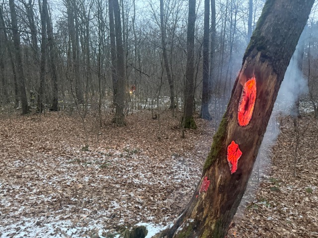 20260105 Brand Karlstein 6