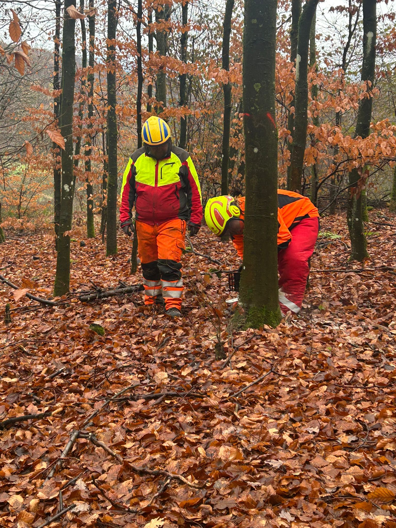 20260310 Ausbildung Motorkettensägenführer Modul A in Gunzenbach 8