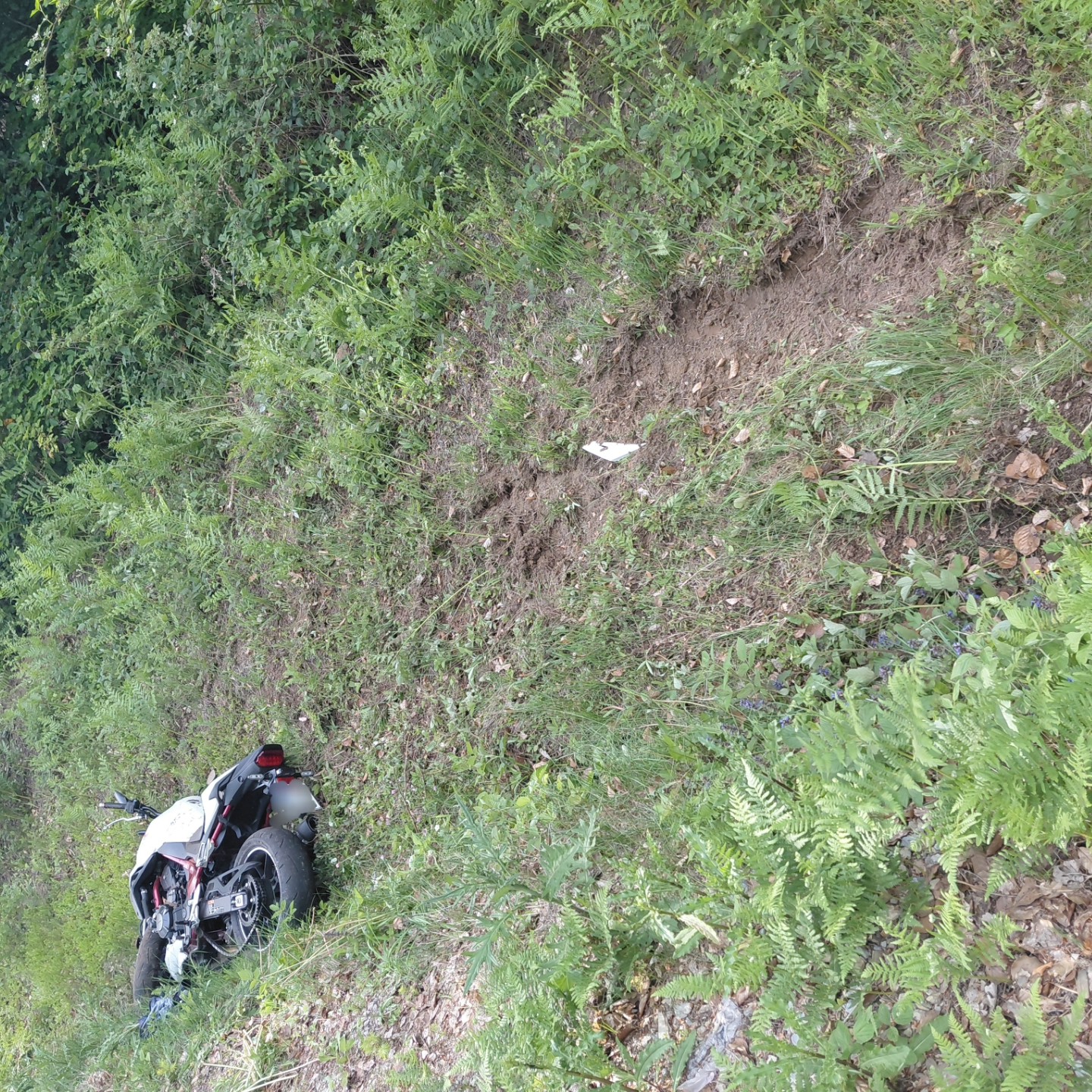 20260523 VU Wiesen 2