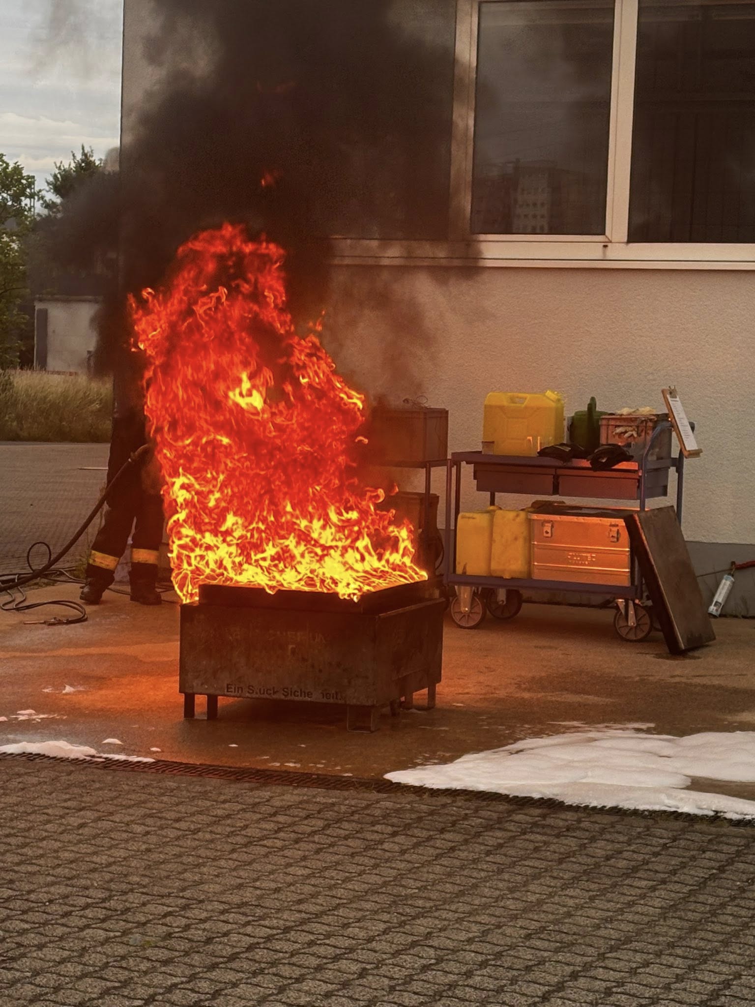 Schaum 1