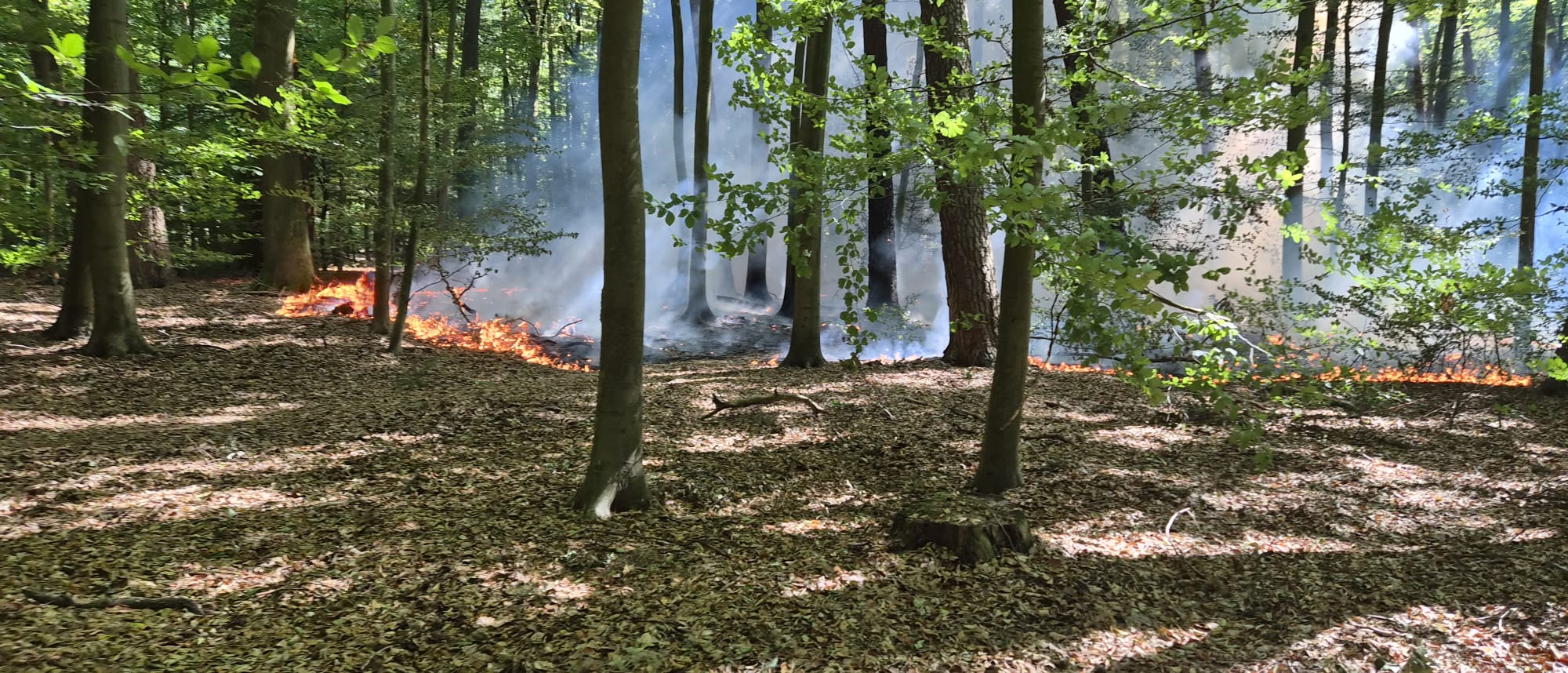 20260813 Brand Großostheim Pflaumheim 11