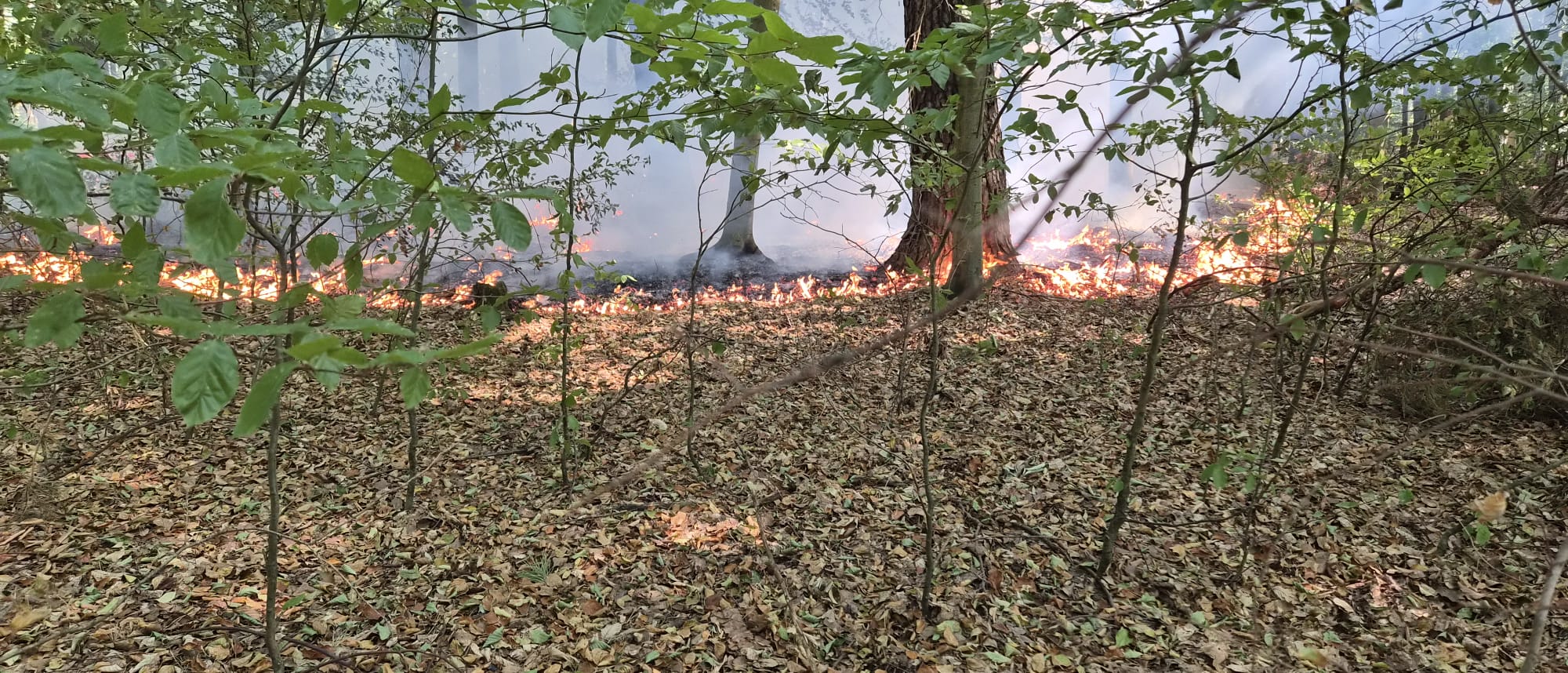 20260813 Brand Großostheim Pflaumheim 13