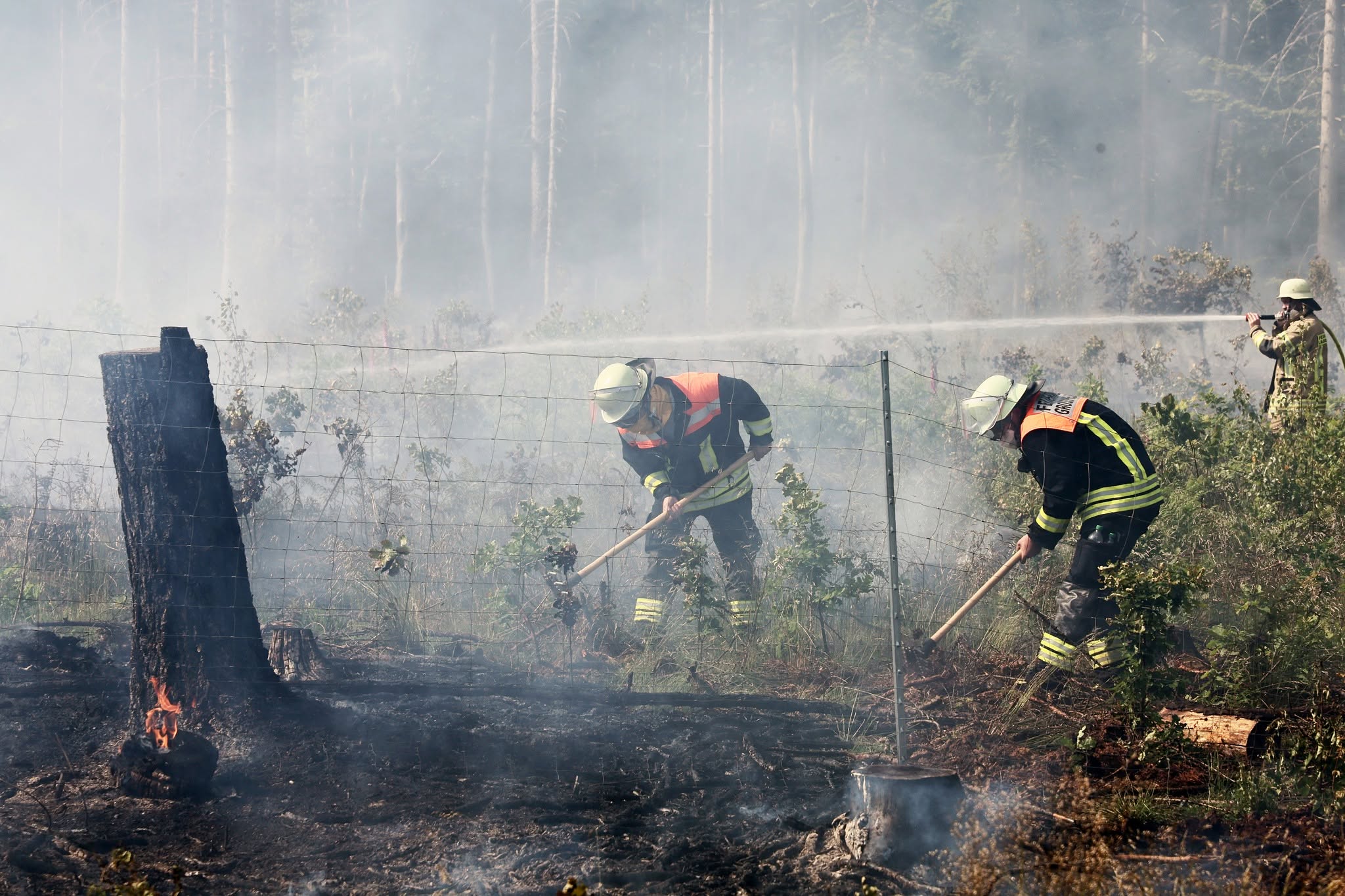 Ein Großaufgebot der Landkreisfeuerwehren waren bei einem Waldbrand in Kleinheubach im Einsatz.