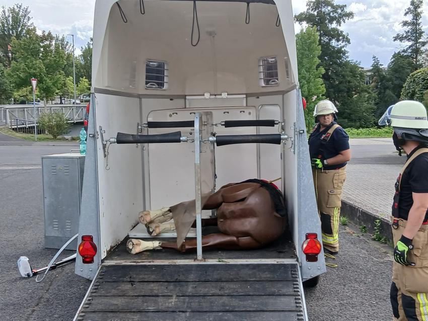 547307258 1607805064005669 6061960126712312199 n