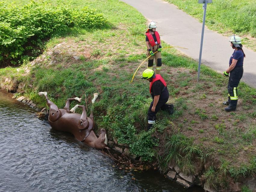 547639747 1607804924005683 5542860259614992074 n